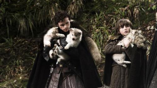 Rob and Bran with some direwolf pups